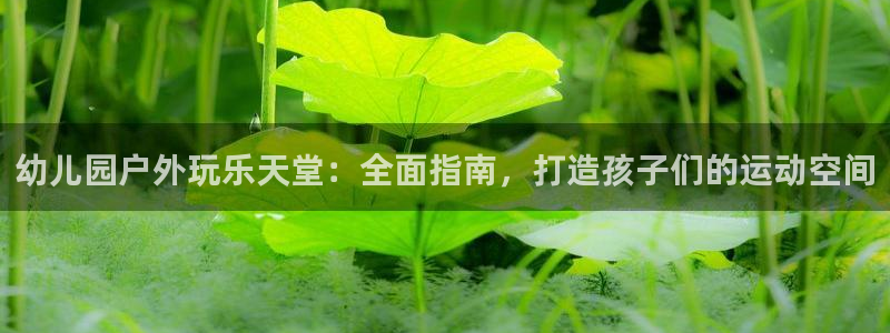 富联官方网站首页入口网址:幼儿园户外玩乐天堂:全面指南,打造