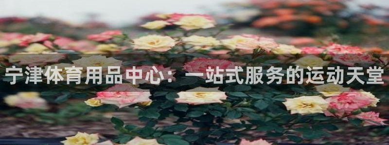 富联平台界7O777:宁津体育用品中心:一站式服务的运动天堂