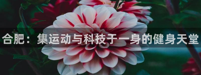 富联平台巴7O777:合肥:集运动与科技于一身的健身天堂